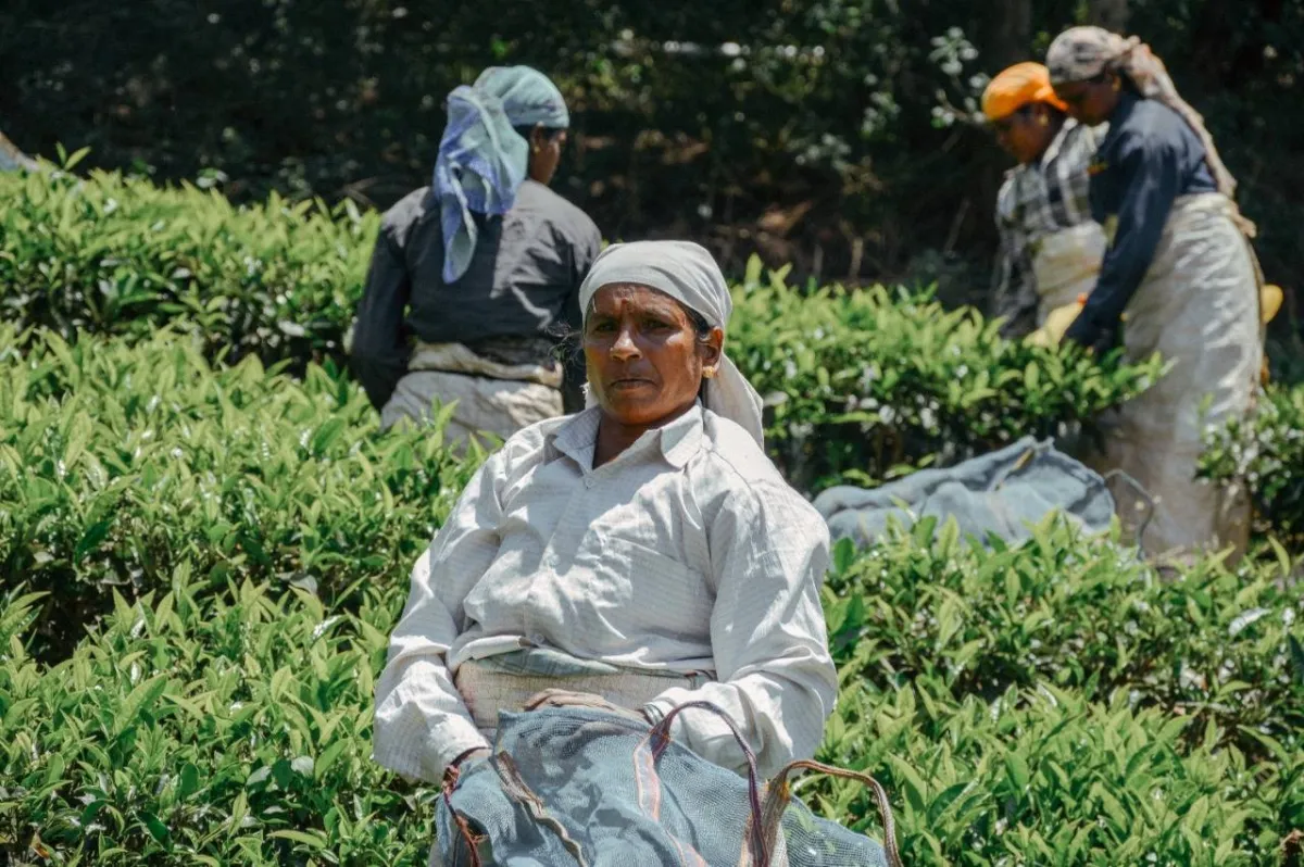 اليوم الدولي للمرأة الريفية 