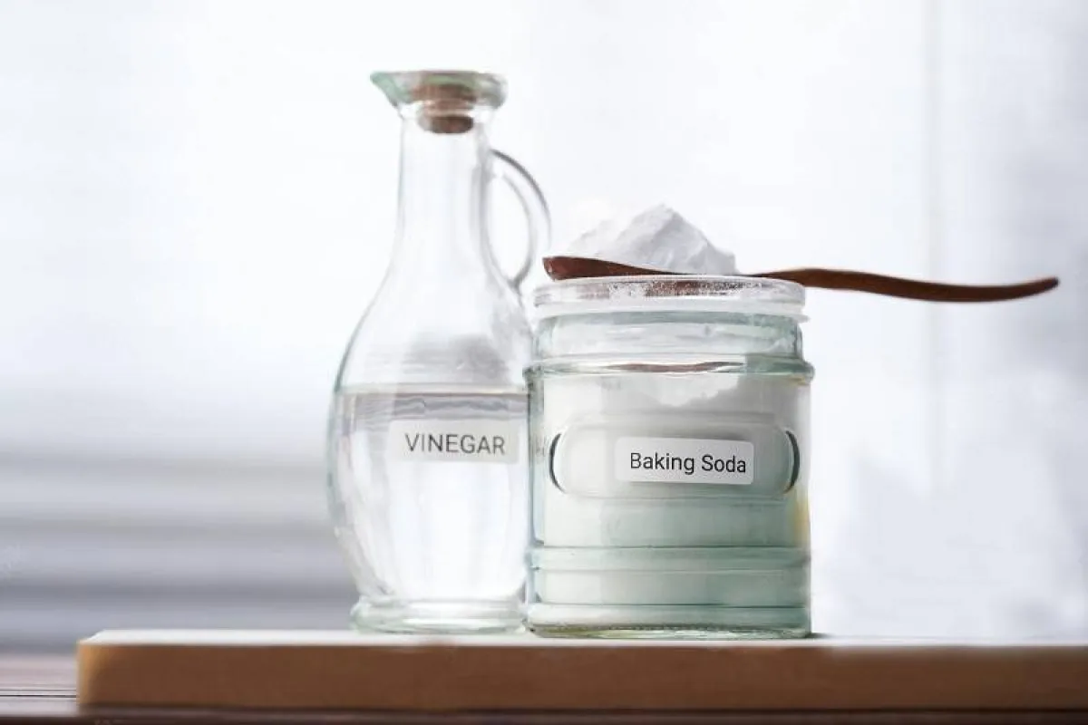 خلطات طبيعية للعناية بالشعر