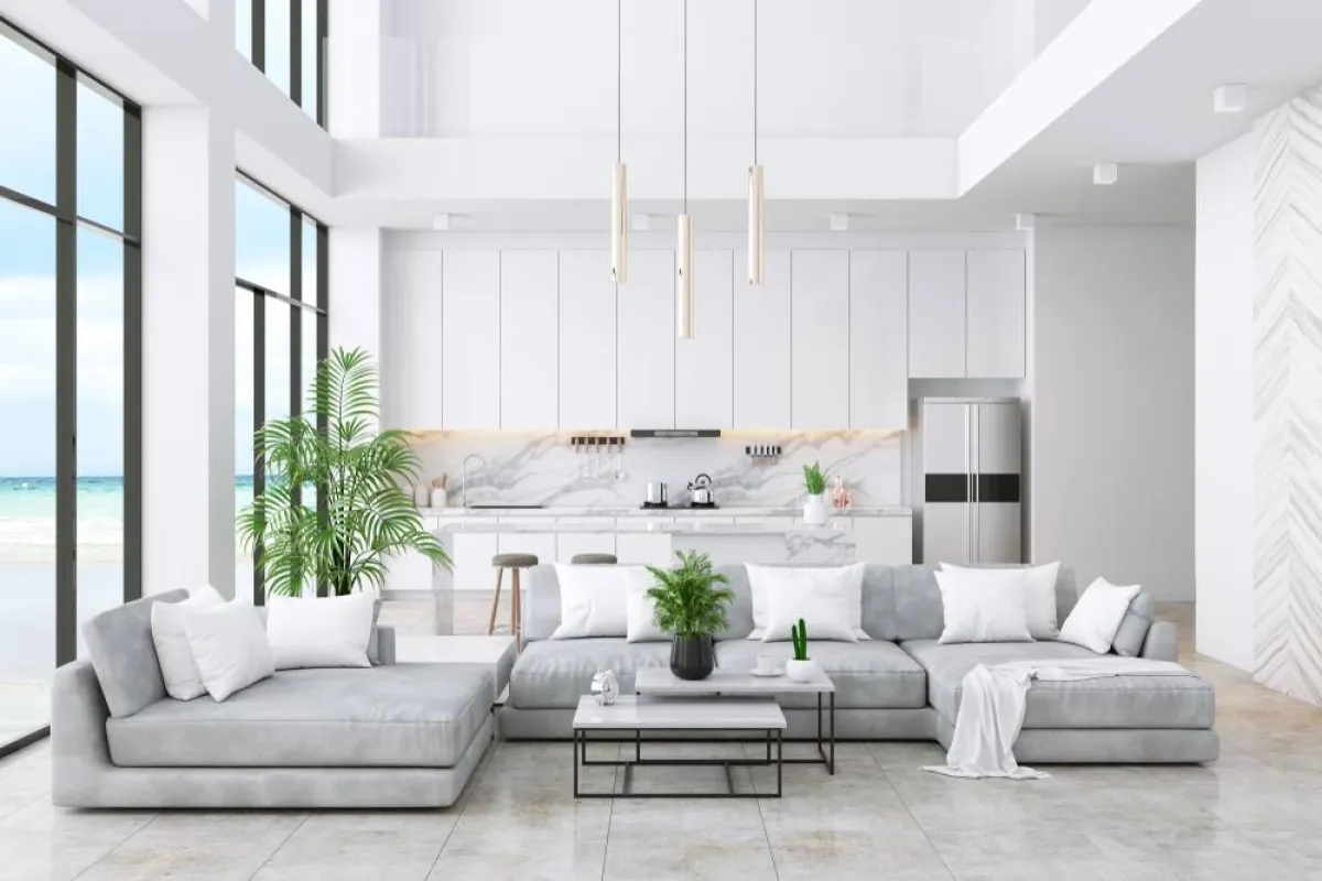 النبات الأخضر عنصر محبّب في المساحات الداخليّة