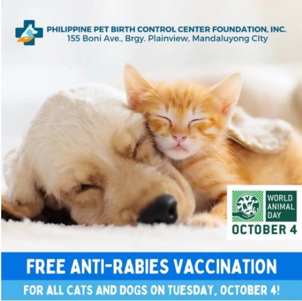 فعاليات اليوم العالمي للحيوان