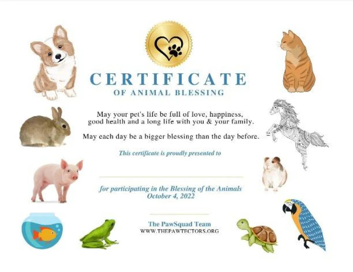 فعاليات اليوم العالمي للحيوان