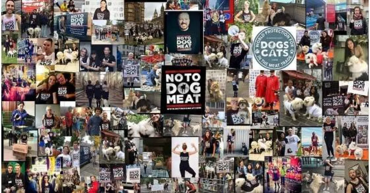 فعاليات اليوم العالمي للحيوان