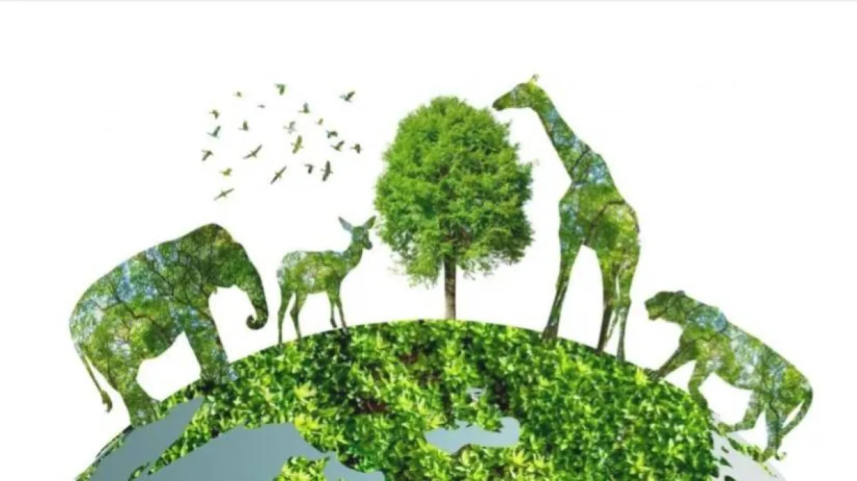 فعاليات اليوم العالمي للحيوان