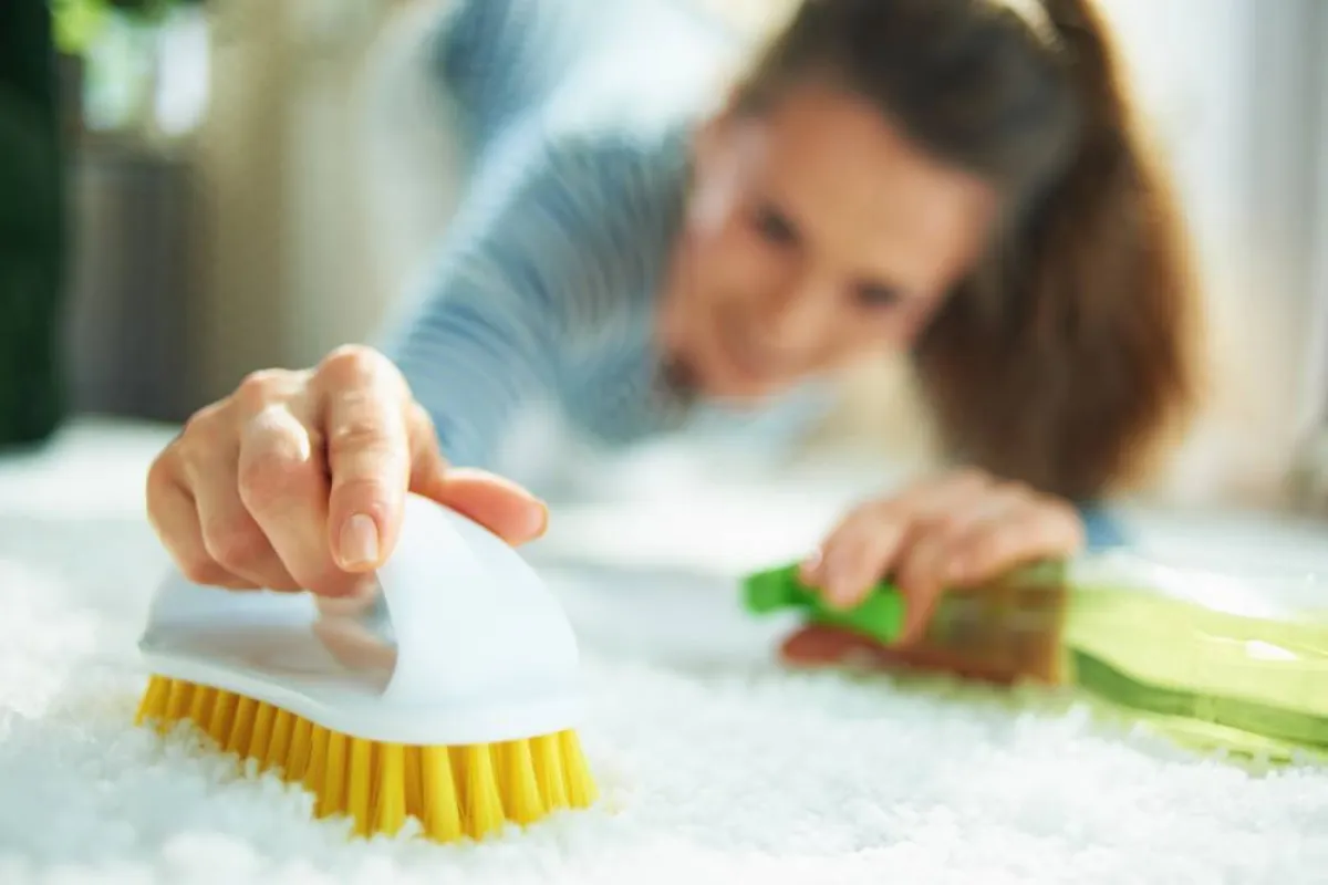 إزالة بقع الكلور عن الموكيت