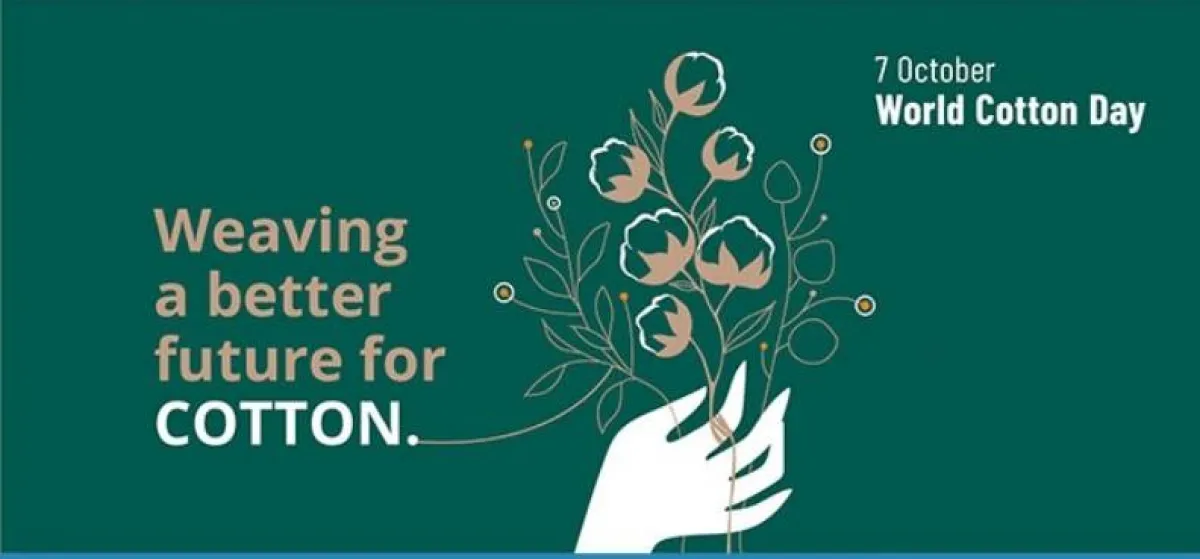 اليوم العالمي للقطن