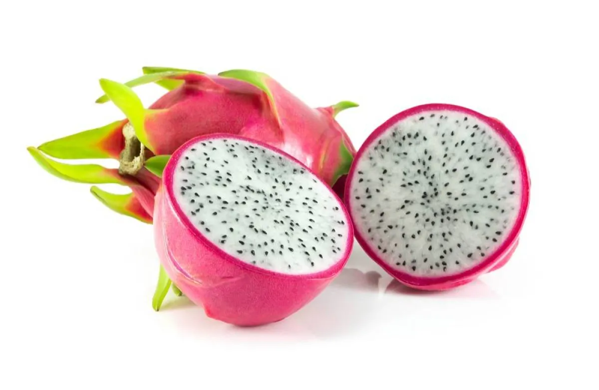 فاكهة التنين