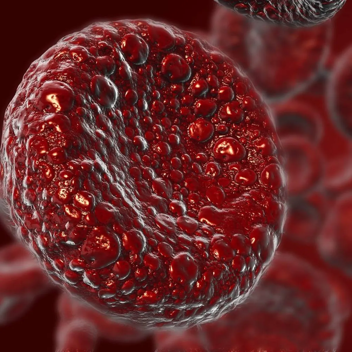 صورة لكرات الدم