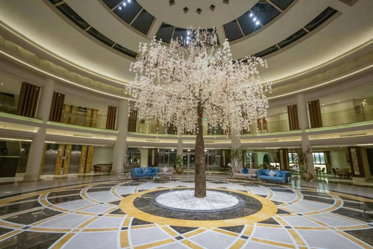 صالة الاستقبال في منتجع صن رايز رومانس سهل حشيش