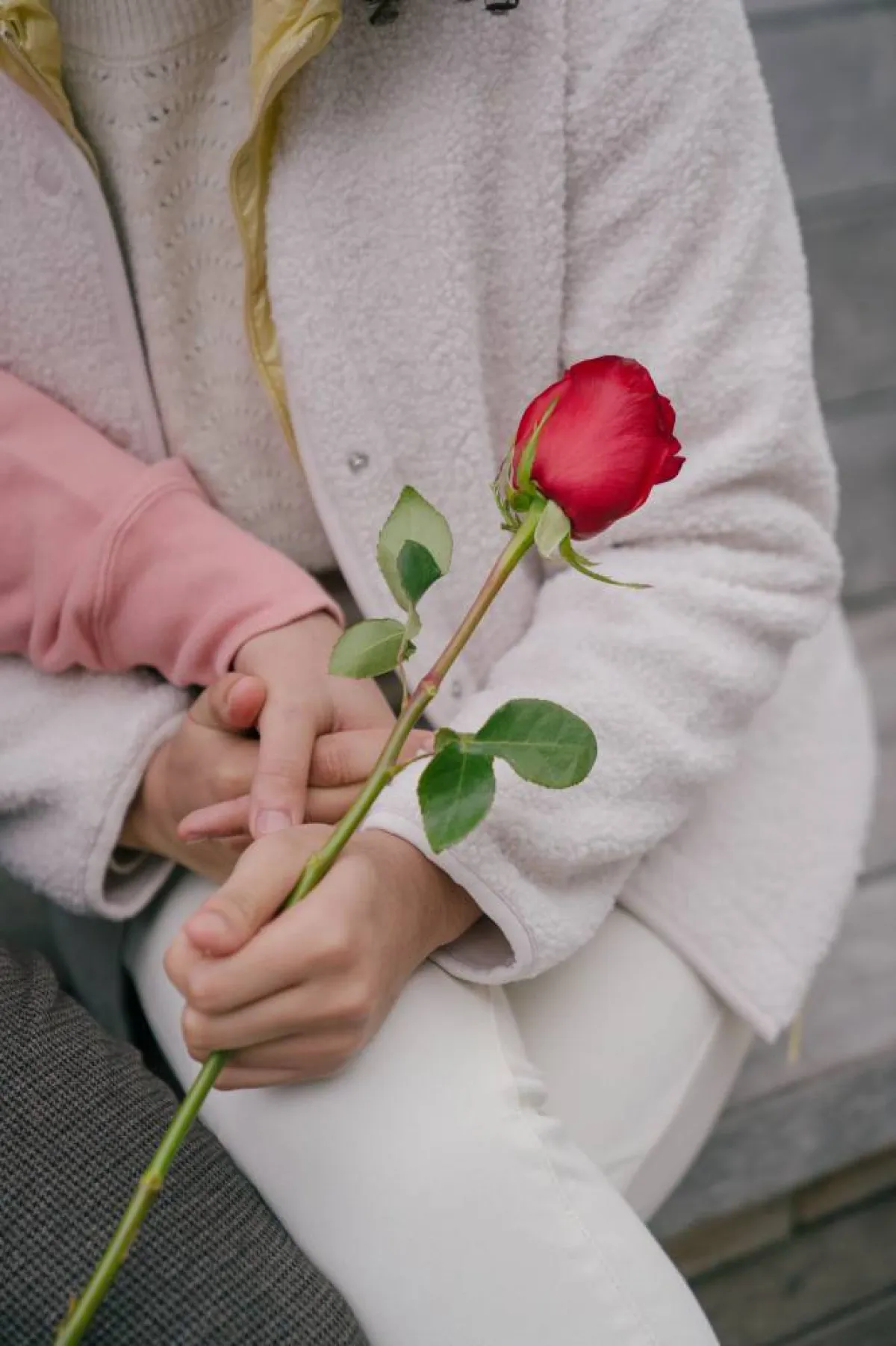  تأسيس علاقة عاطفية ناجحة