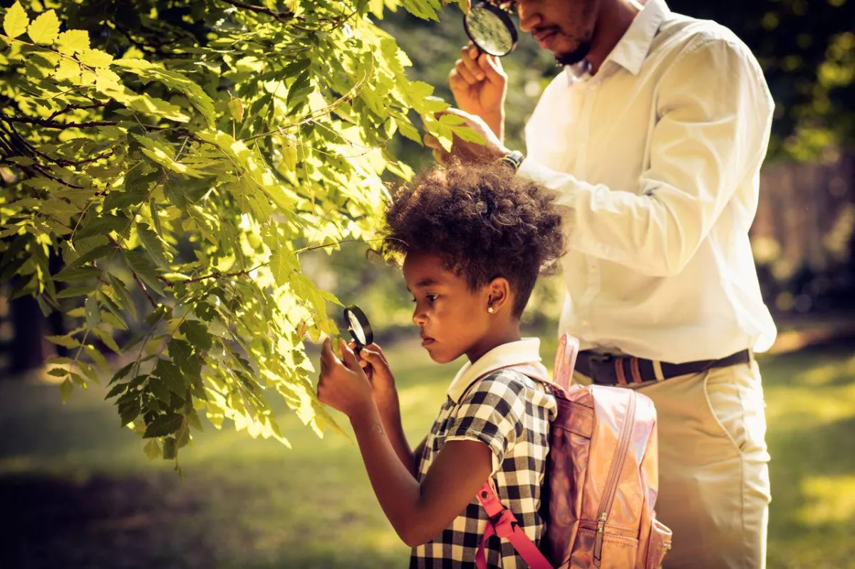 صورة لتكبير الأوراق