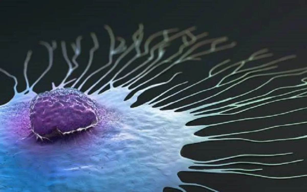 مدة انتشار سرطان الثدي