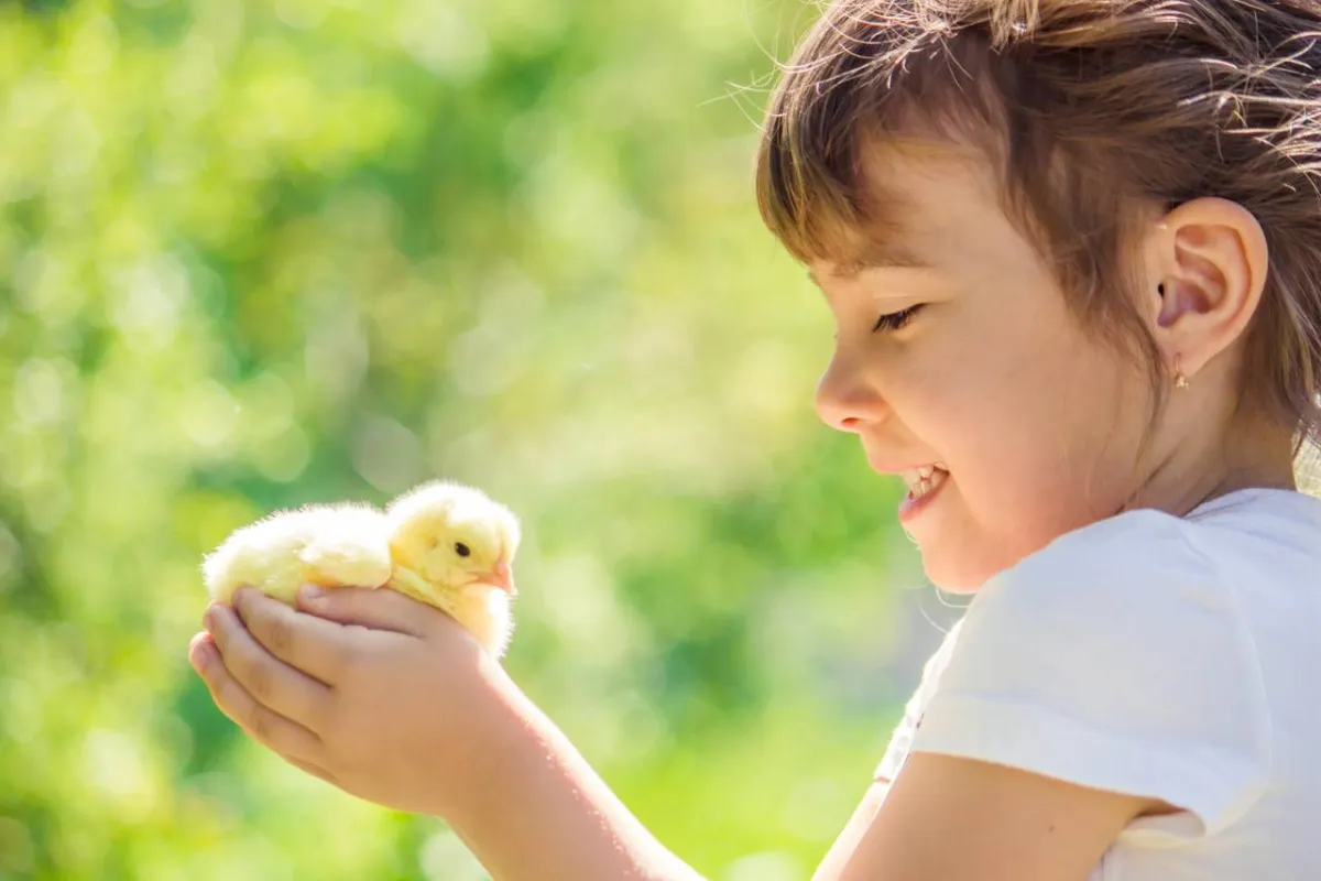 صورة لطفلة تحمل طائراً