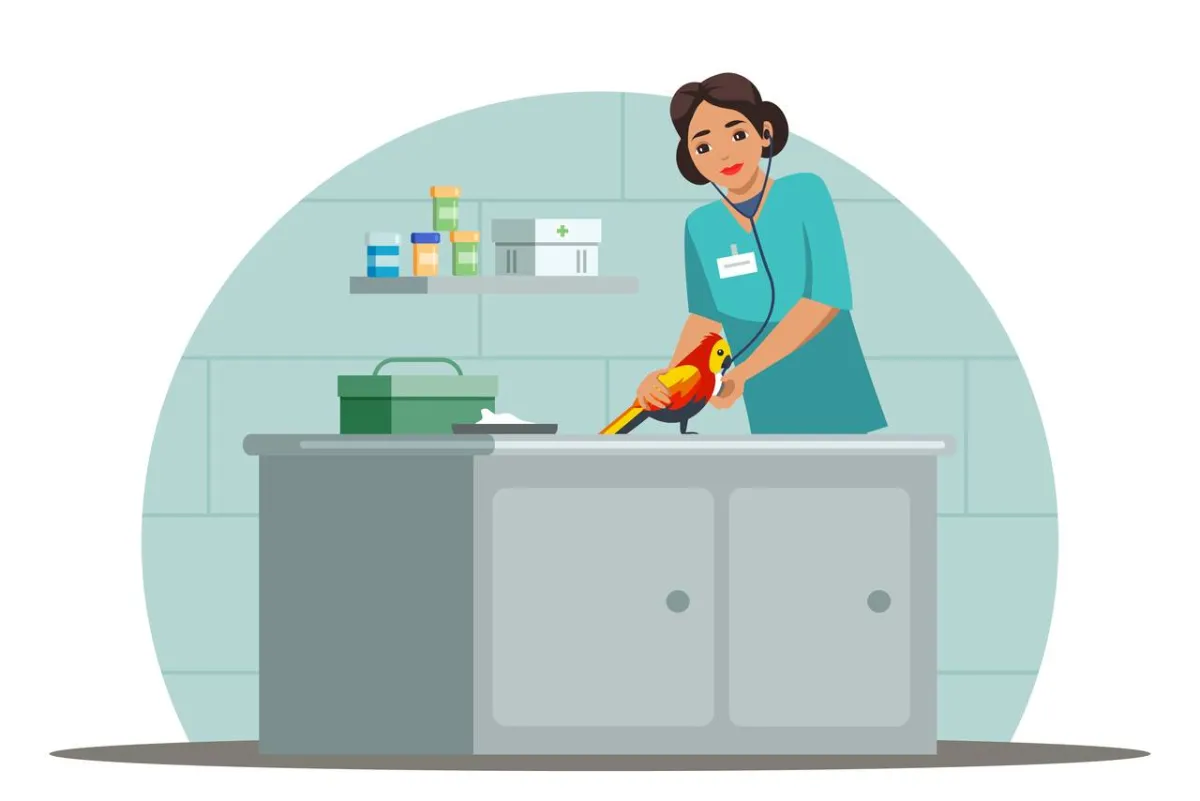 صورة لفحص الطير