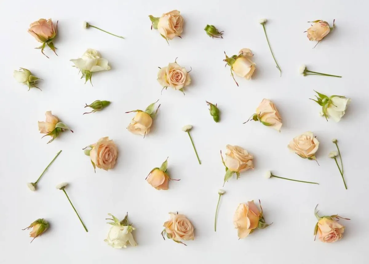 جماليّة الورد المجفّف