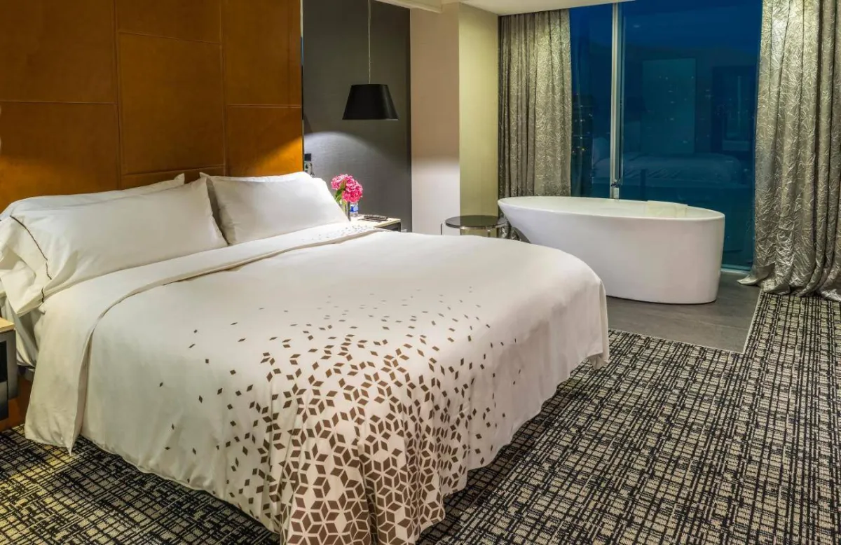 فندق رينيسانس سانتياغو