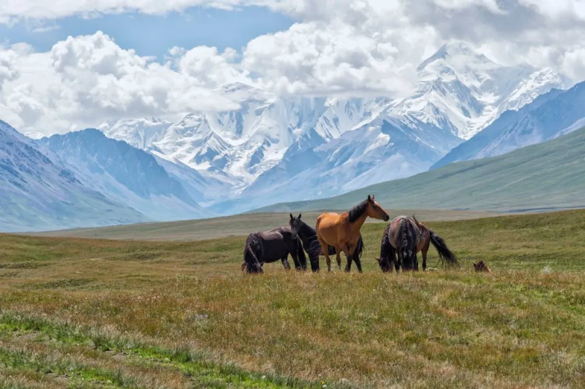 يحلو الاستمتاع بالطبيعة في قزغيزستان