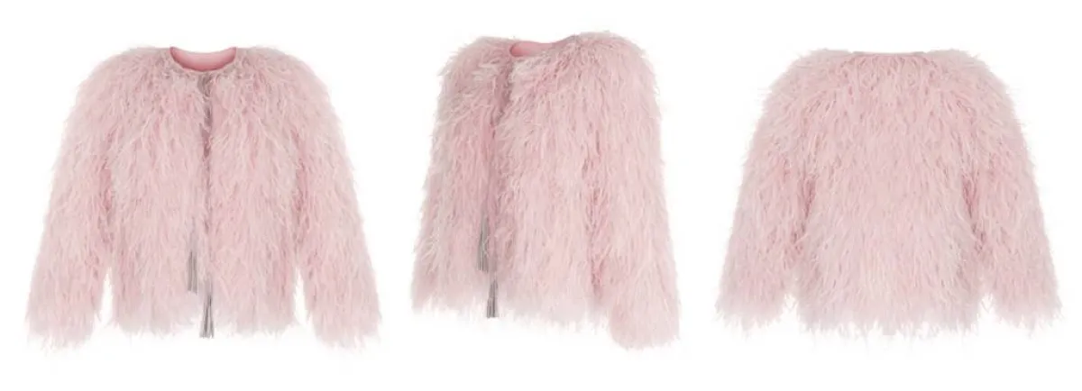 تنطيف السترة الريش