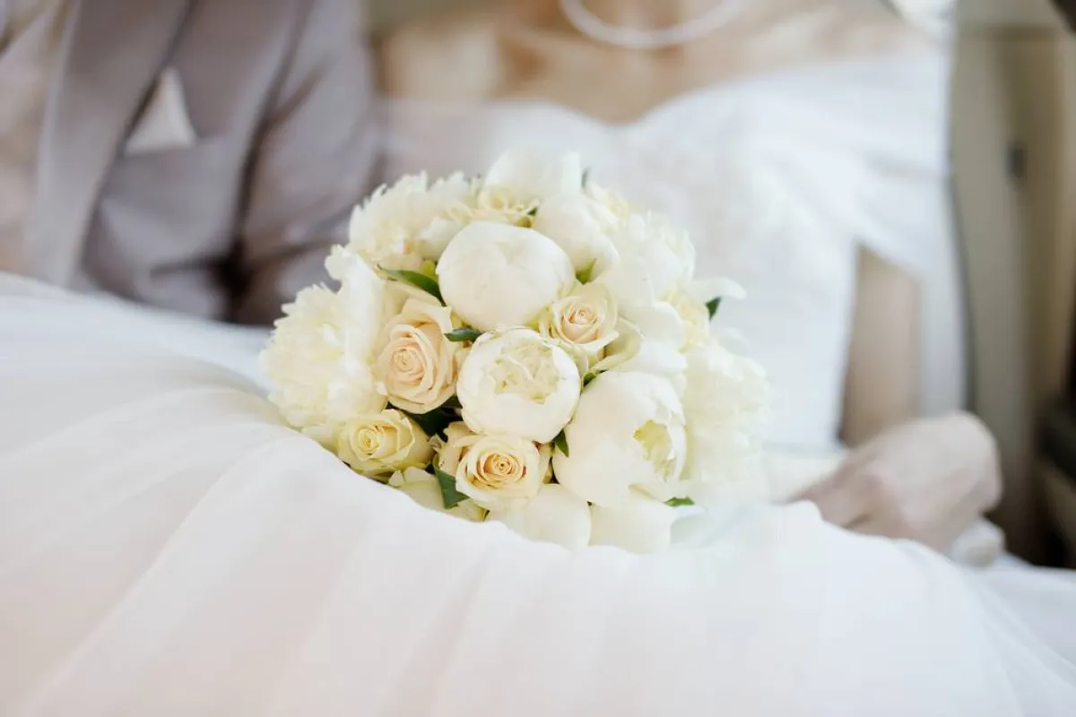 أزهار "الفاونيا"