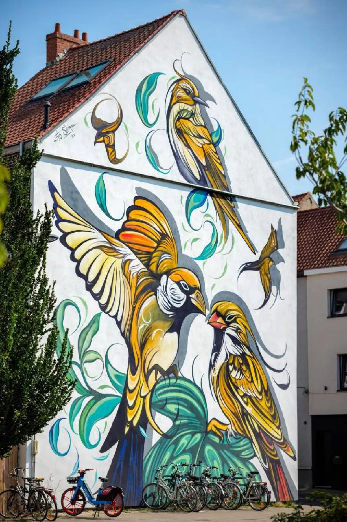 جداريات  الفنانة  فياو سيلفا Fio Silva