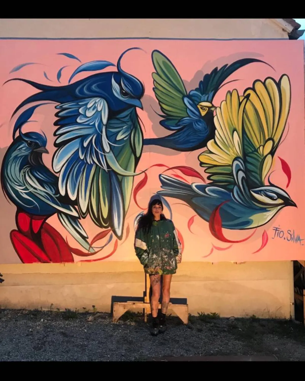 جداريات  الفنانة  فياو سيلفا Fio Silva