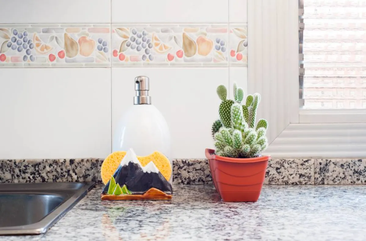 نبات الصبّار