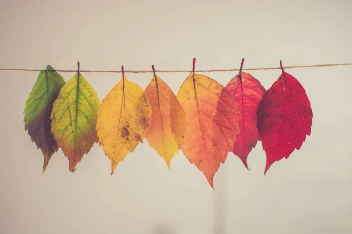 صورة تعبيرية عن تقلبات المزاج