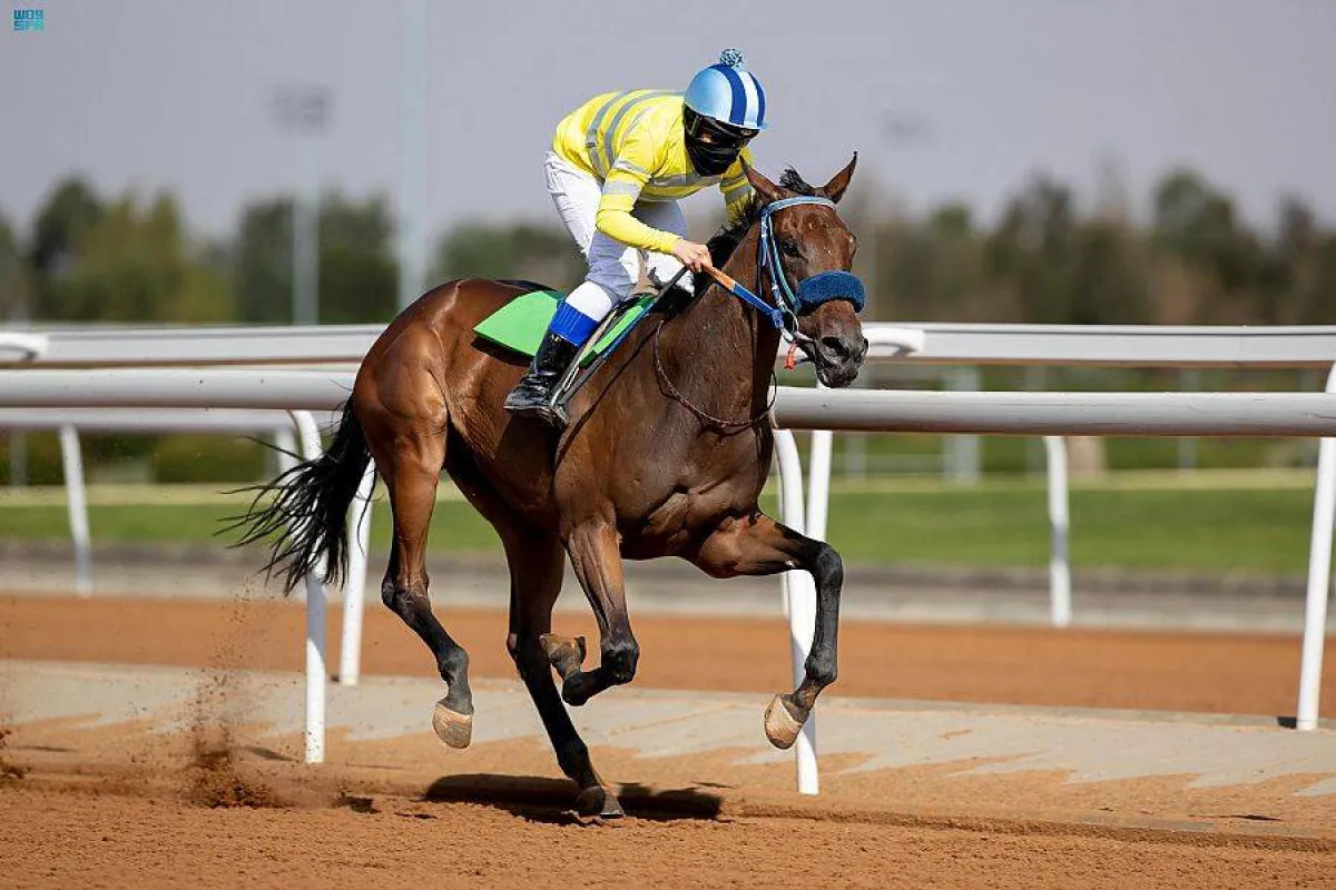 سباقات الخيل