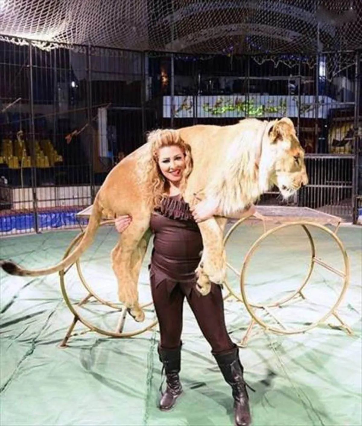 السيرك المصري، رحلة تتجاوز 150 عاماً 