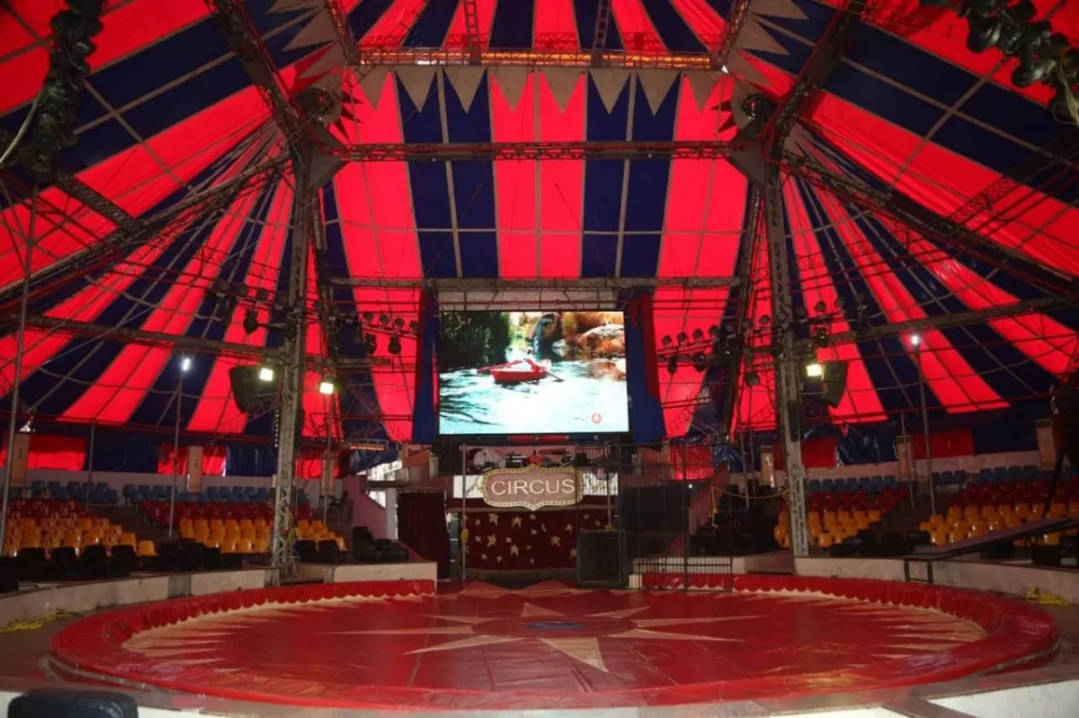 السيرك المصري، رحلة تتجاوز 150 عاماً 