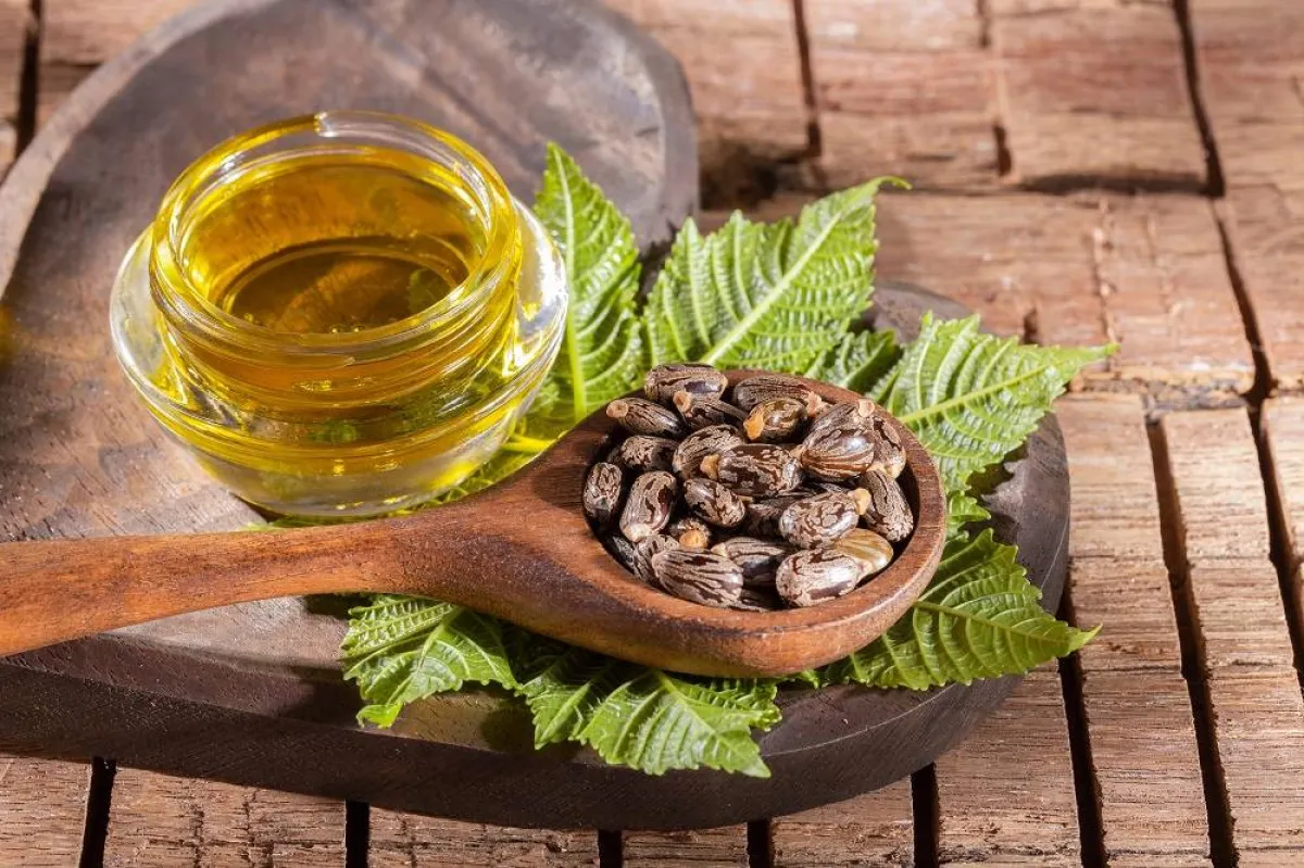 فوائد زيت الخروع