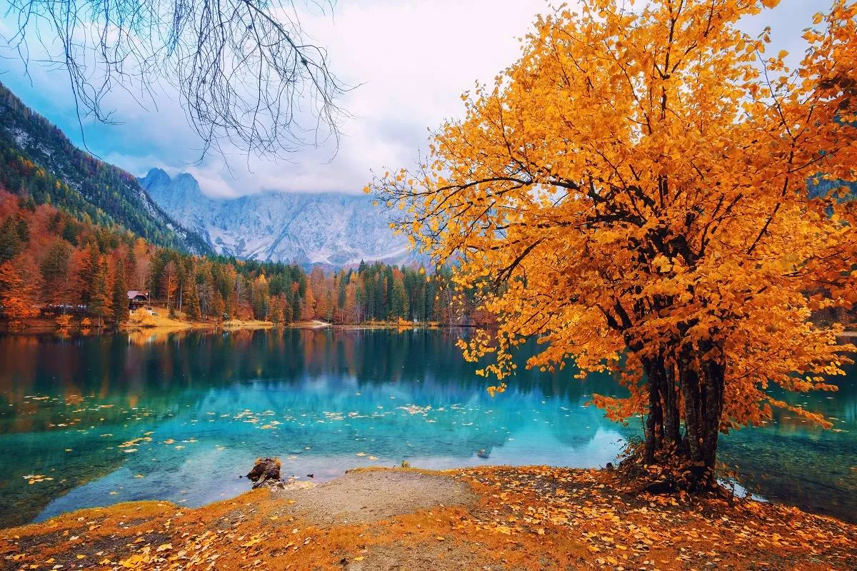 نصائح عند السفر في فصل الخريف