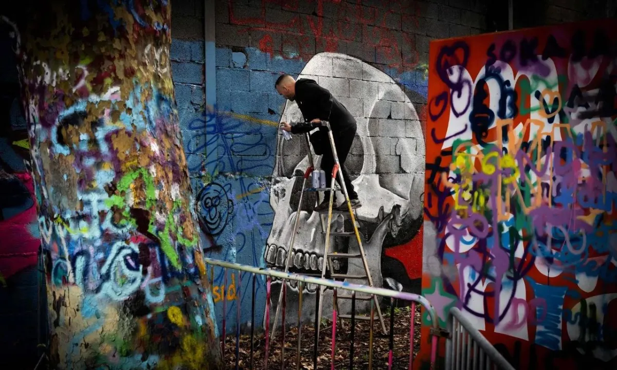 مهرجان ليو لفن الشارع بفرنسا احتفالاً بالفن الحضري  