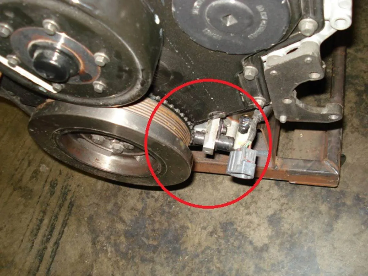 حساس الكرنك ومكانه وطريقة عمله