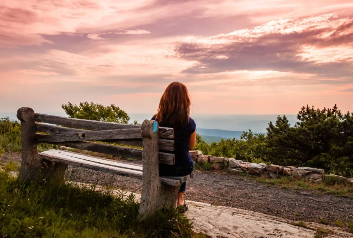 السفر إلى النمسا