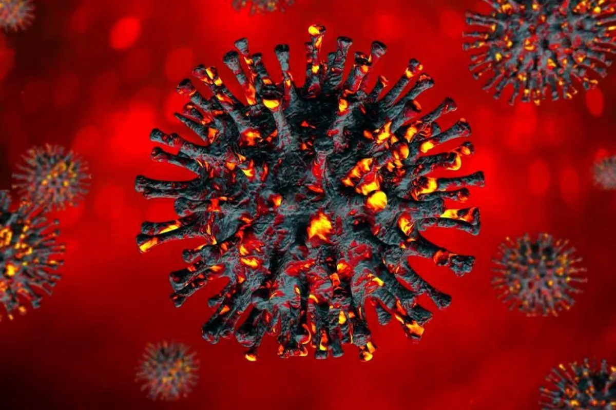 فيروس كورونا