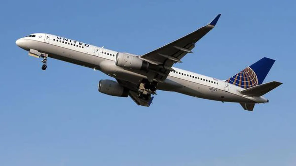 ثعبان بين ركاب رجال الأعمال على متن طائرة في نيوجيرسي