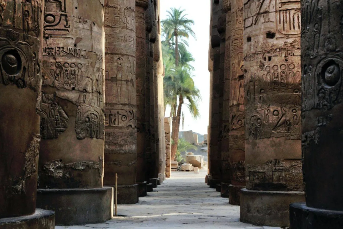 الفرق بين الحضارة والتاريخ