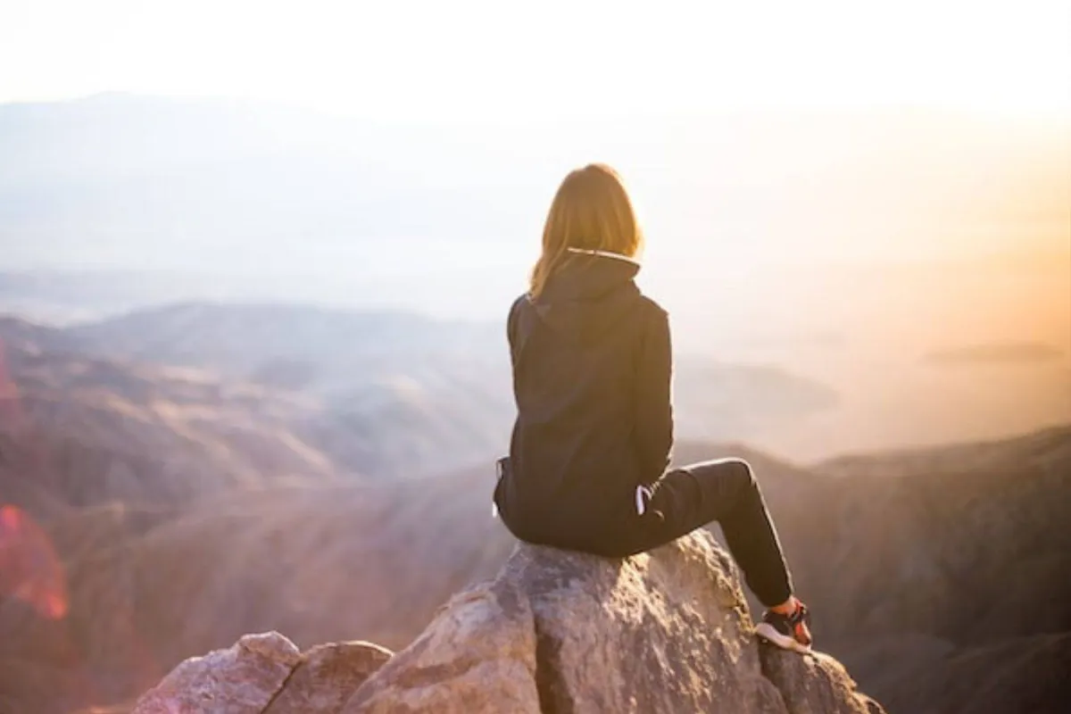 الذئب في المنام