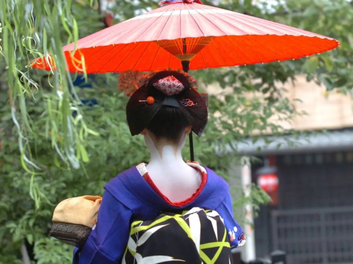 دبابيس شعر للتزين وتعويذة لدرء الشروسلاح لدرء المهاجمين