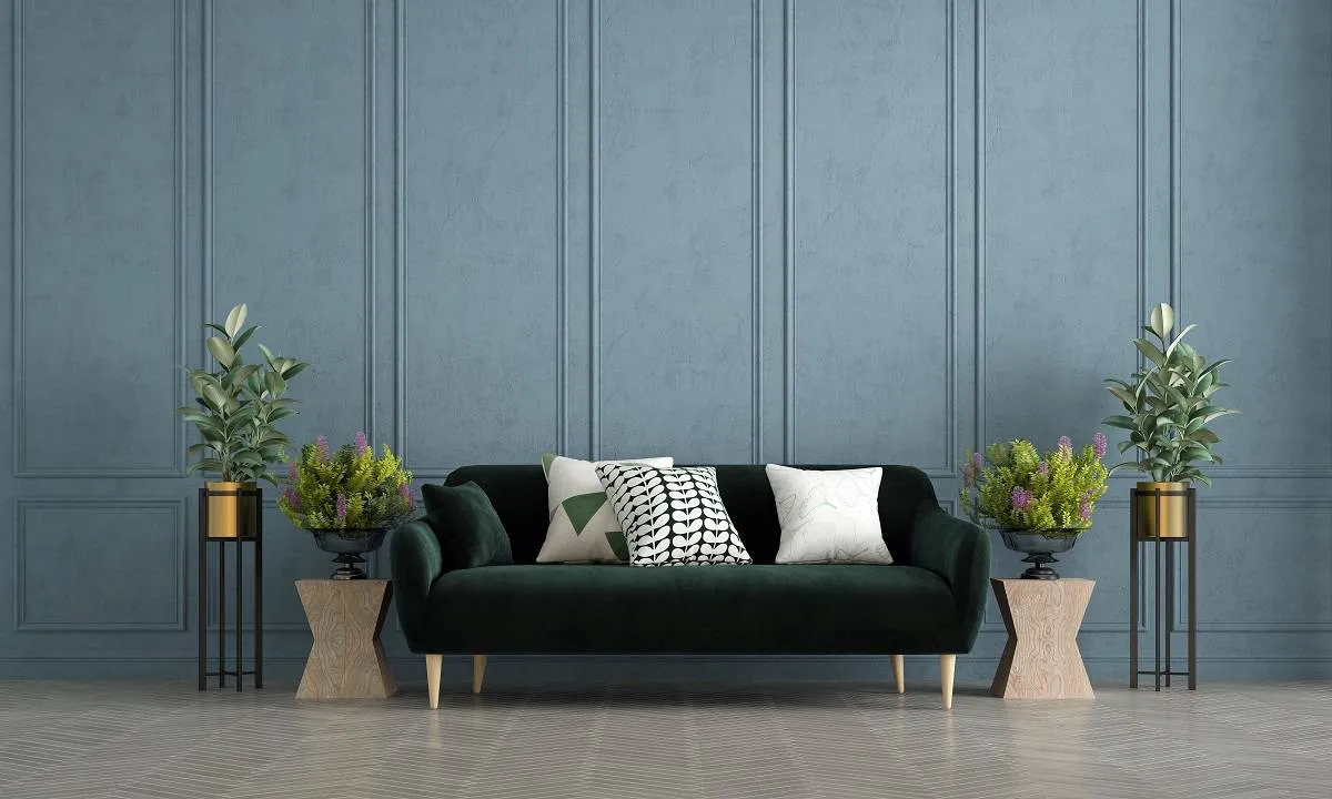 الأخضر يحلّ على الأريكة