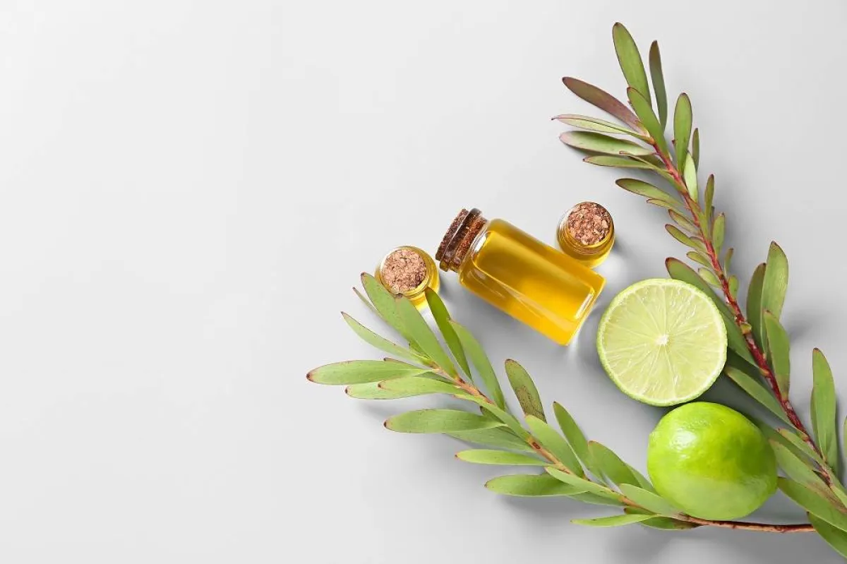 الزيوت المناسبة لكل نوع بشرة