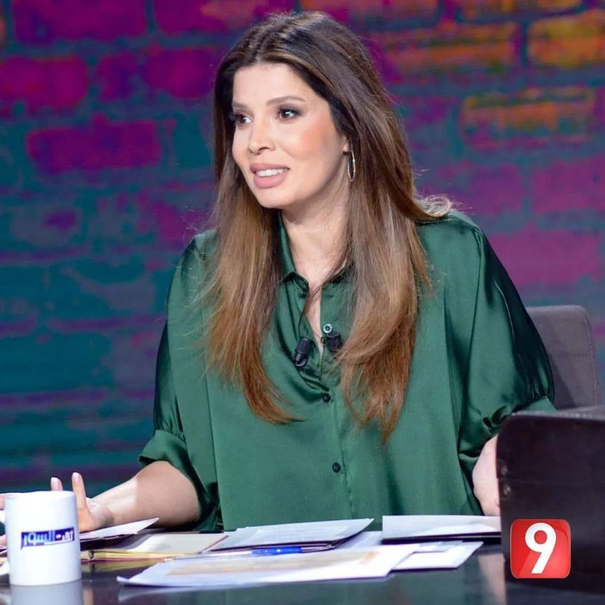 فرح بن رجب عند تقديمها برنامج "تحت السور"- الصورة من حساب فرح على الفيسبوك