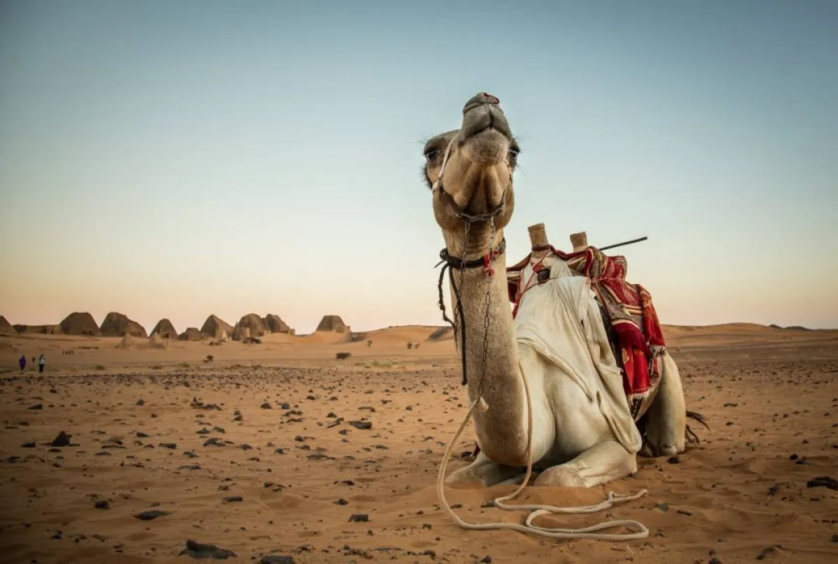 من الممكن زيارة الأهرامات في أي وقت
