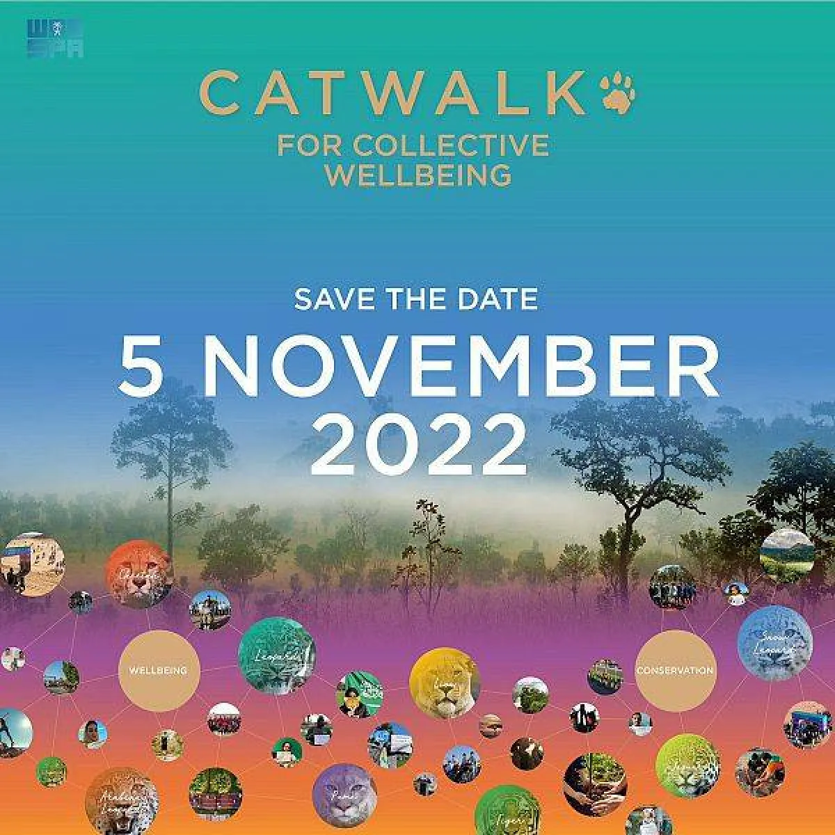 مبادرة كات ووك