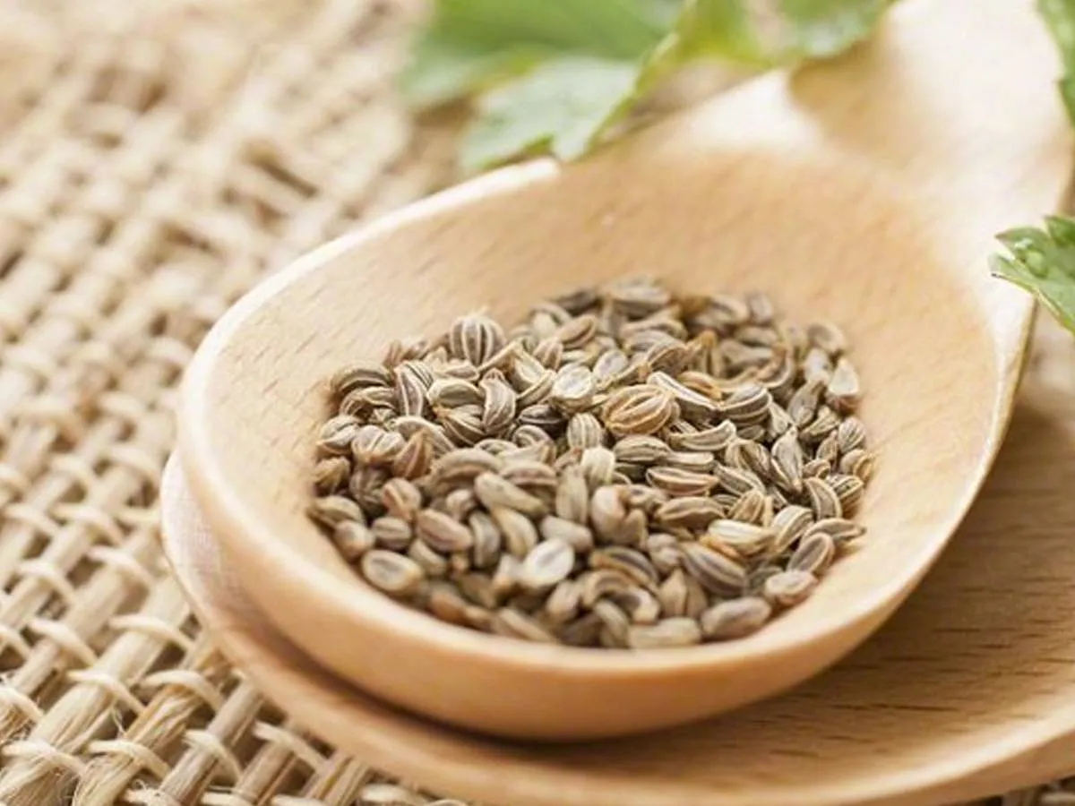 فوائد بذور البقدونس