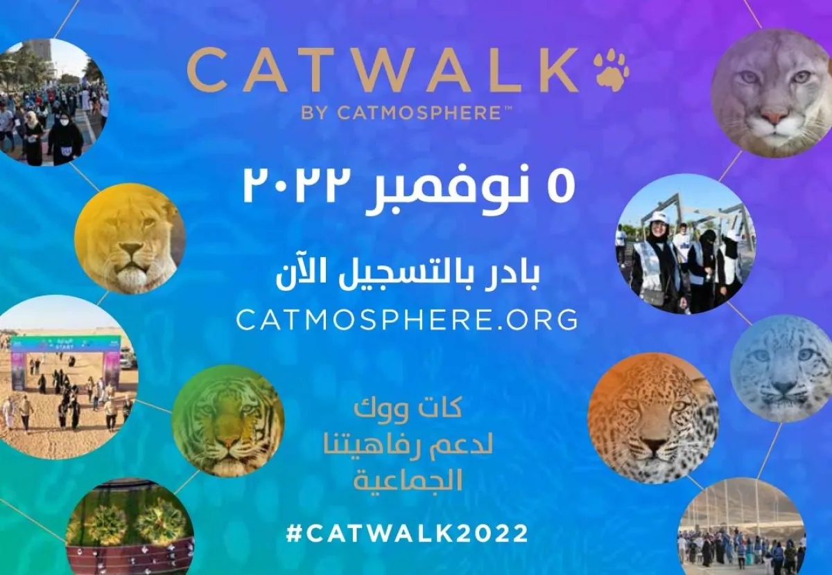 "كاتموسفير" تطلق مسيرة "كات ووك" المجتمعية للحفاظ على القطط البرية 