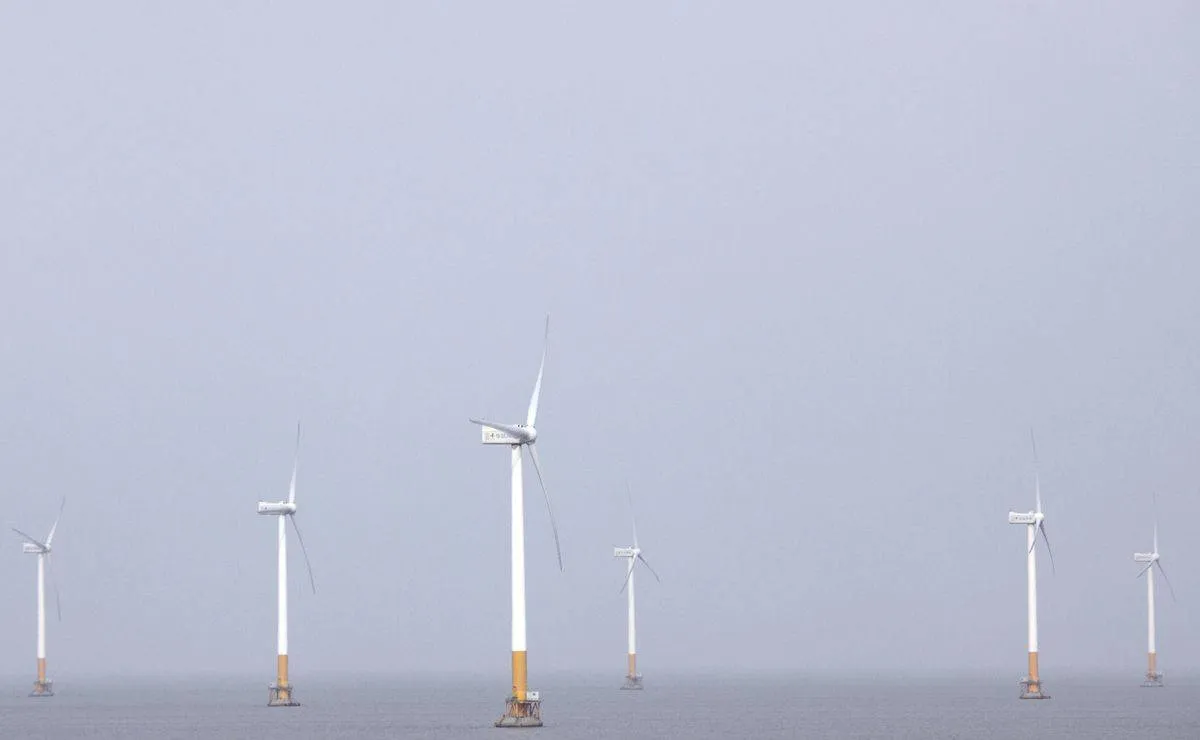 صورة لمزرعة رياح