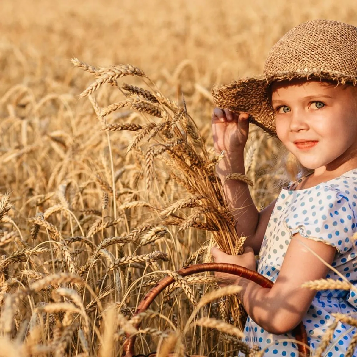 صورة تعبيرية لأهمية القمح للطفل