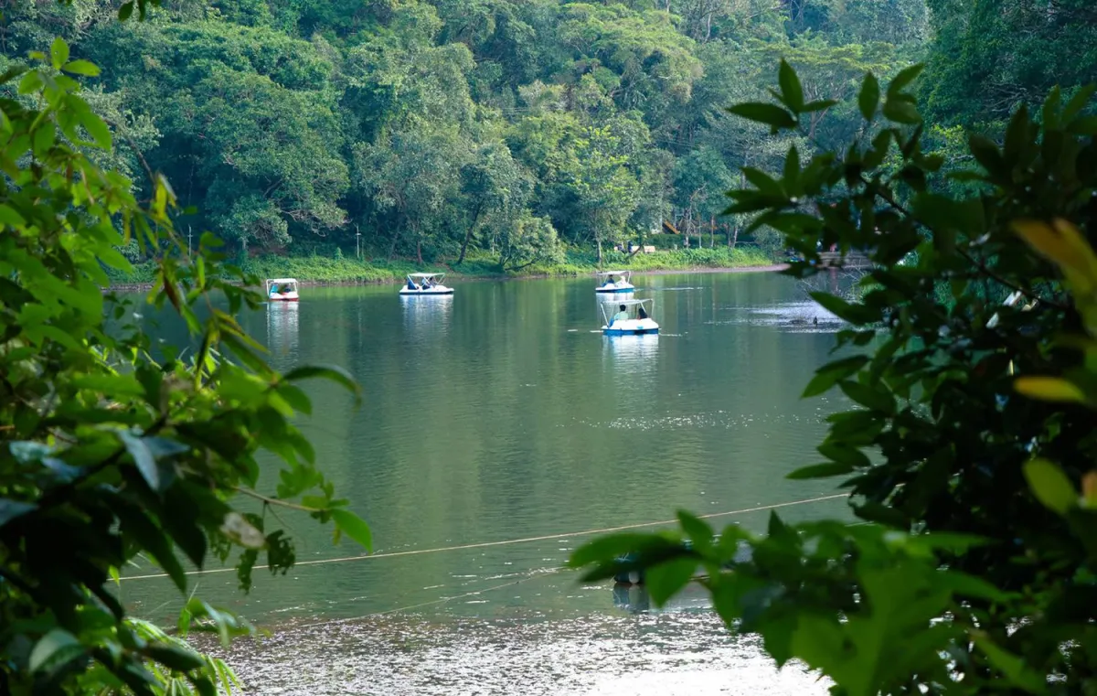 «واياناد» مثاليّة للهروب من أشعّة الشمس الحارقة في شمالي الهند 