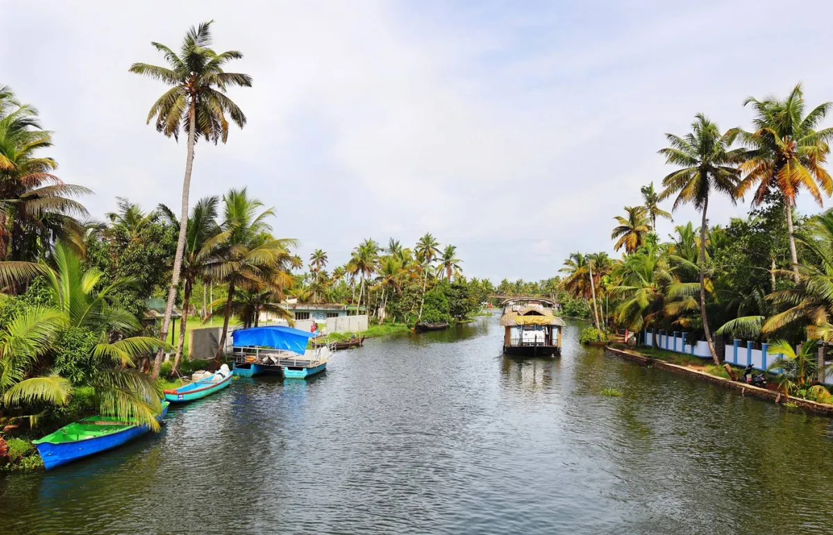 «كيرالا» الهندية وجهة مناسبة لعشاق الحياة البرية